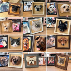 【expendited】Custom Pet Wool Felt Picture Frame